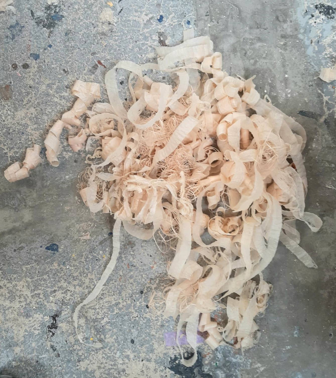 shavings shavings